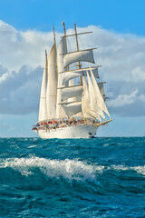 Sailing ship. series of ships and yachts  © Alvov