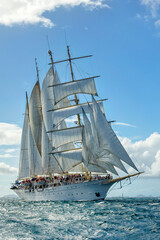 Sailing ship. series of ships and yachts  © Alvov