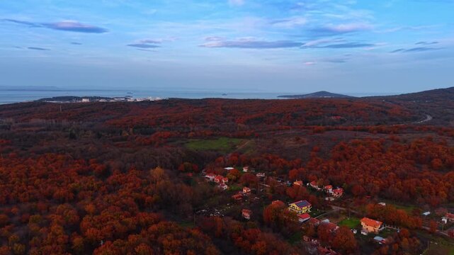 Aerial autumn forest with coastal village and sea visible in the background. Autumn red forest surrounds scattered houses as a coastal industrial area and open sea appear faintly in the background.