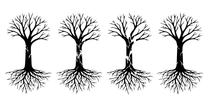 Dead winter trees with roots and cracked trunks vector illustration. Set of black bare branch tree silhouettes isolated on white background.