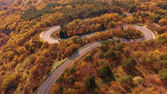 Aerial view of S-shaped serpentine road hairpin bend through mixed autumn forest. One car navigates a tight S-shaped hairpin on a road through mixed orange deciduous and green conifer forest.