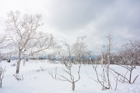 The natural view from the Mashu lake observation desk is covered in snow in winter in Hokkaido.