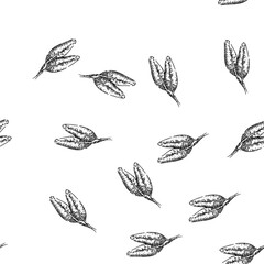 Fototapeta premium seamless pattern herbal sage hand drawn. garden healthy, organic spice, aromatic salvia herbal sage black sketch illustration