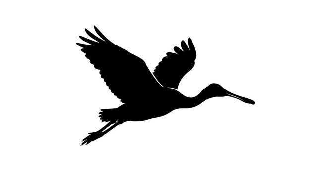 Silhouette of a bird in flight against a white background 1.