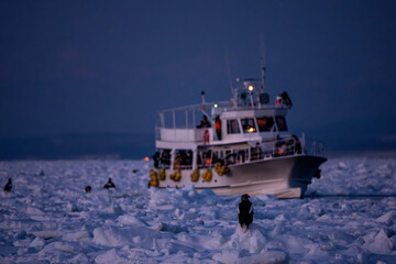 Landscape of drift ice floating on the ocean in Shiretoko Rausu Hokkaido Japan © shirophoto