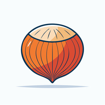 Illustration of a single hazelnut
