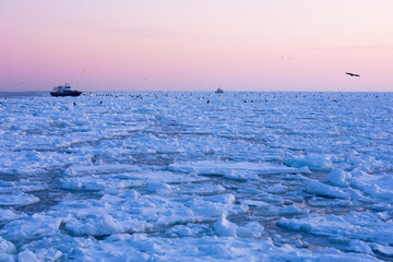 Landscape of drift ice floating on the ocean in Shiretoko Rausu Hokkaido Japan © shirophoto