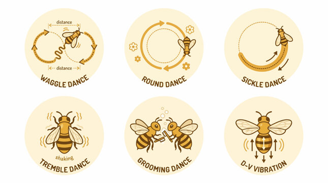 Bees performing various dance moves including waggle, round, sickle, tremble, and shaking dances on illustrations.