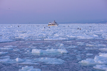 Landscape of drift ice floating on the ocean in Shiretoko Rausu Hokkaido Japan © shirophoto