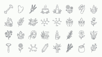 Fototapeta premium Collection of line art icons representing natural beauty, wellness, and organic skincare ingredients.
