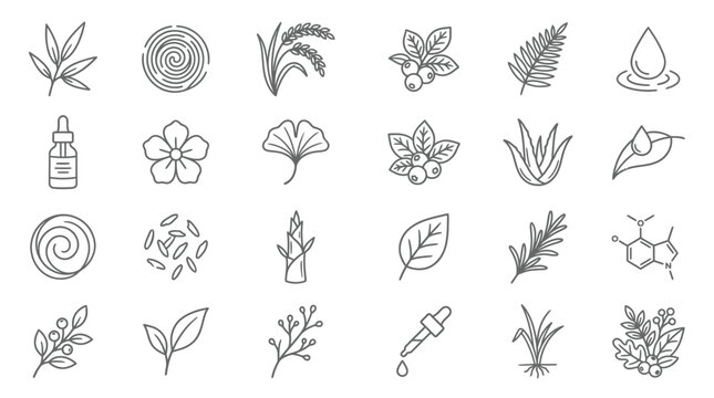 Collection of hand-drawn icons representing natural ingredients and organic elements for skincare and wellness products.