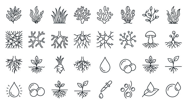 Collection of line icons representing plants, roots, water drops, and scientific elements for biology and nature themes.