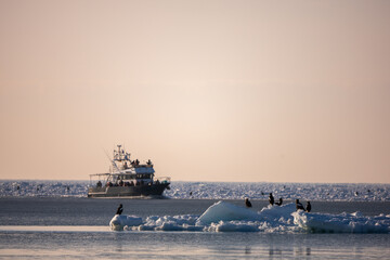 Landscape of drift ice floating on the ocean in Shiretoko Rausu Hokkaido Japan © shirophoto
