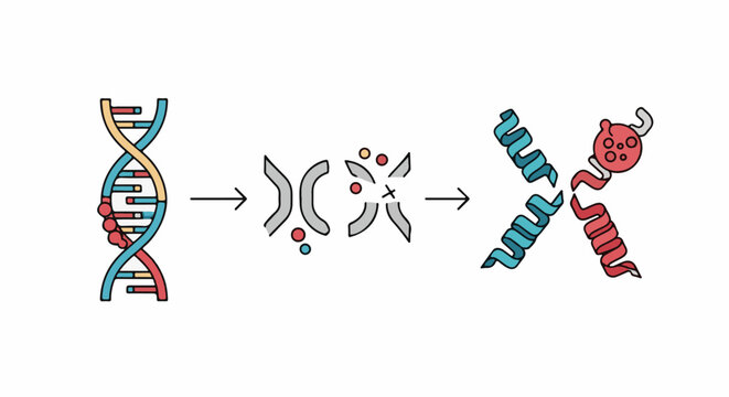 Molecular process showing DNA alteration and recombination in lab setting