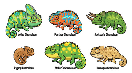 Obraz premium Vibrant illustrations of six different chameleon species displayed together on white background