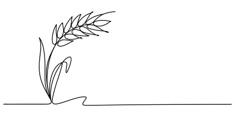 Minimalist single line drawing of a wheat stalk, vector illustration © JCS Graphic Design 