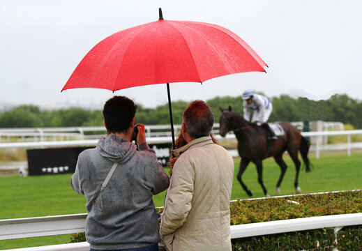 Paraguas en hip&oacute;dromo con espectadores de caballo de carreras y lluvia en plan de ocio