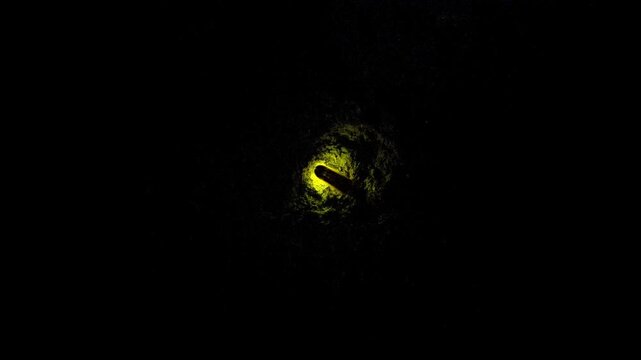 A macro shot of tiny firefly glows brilliantly in the deep darkness, flashing its warm golden light.