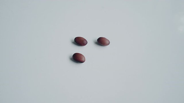 Lablab Beans Appearing on isolated white background