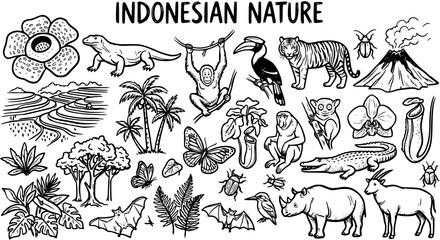 Indonesian Nature Black and White Line Art Vector: Animals, Plants, Volcano, Terraces © poppy