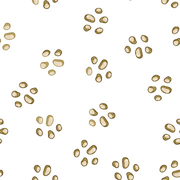 pattern Illustration of intestinal parasites - helminths - showing worms in the digestive tract to represent infection, disease, veterinary and medical research, hygiene and prevention