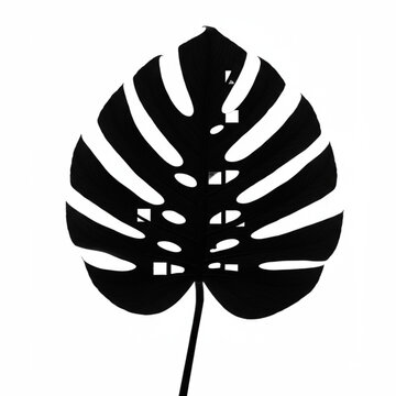 A captivating black and white illustration of a monstera leaf with abstract square cutouts, offering a unique natural aesthetic