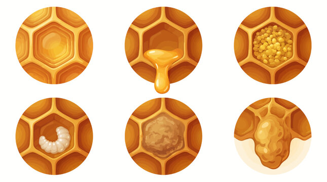 Honeycomb patterns showcase beeswax cells with honey, bee, larvae, and honeycomb texture up close.