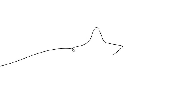 Single star rating line art animation in progressive continuous line style