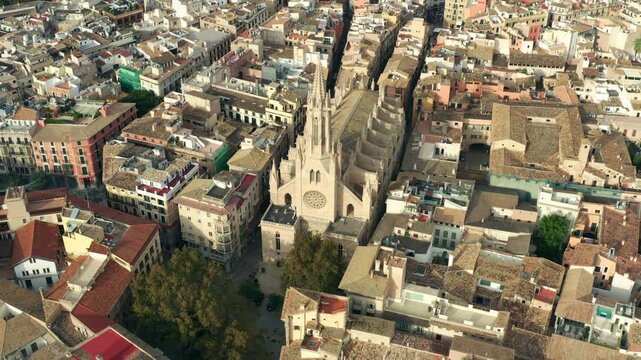 Aerial view church of santa eulalia de Palma de Mallorca. Architecture of the historic church travel and tourism in Spain.