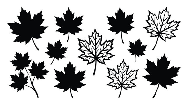 Maple leaves silhouette and outline set for autumn designs