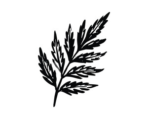 Fototapeta premium One single hand drawn plant leaf sketch art with natural shape
