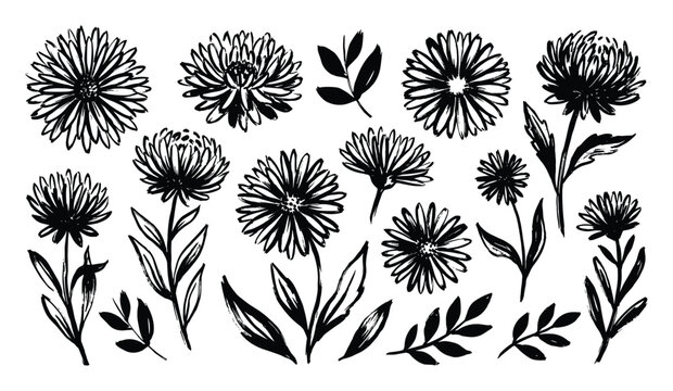 Detailed ink sketches of blooming daisies and floral heads