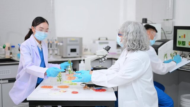 Food scientists in lab coats, testing samples, and analyzing food safety and quality in a modern laboratory