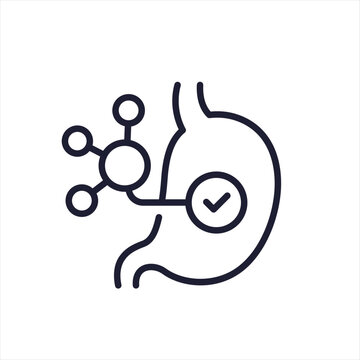 bioavailability line icon with a stomach on white
