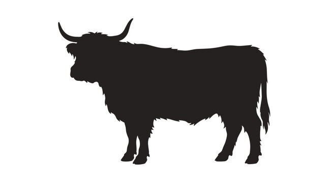 Silhouette of a Highland Cow with Long Horns.