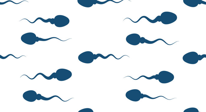 Sperm Cells Swimming