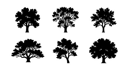 Fototapeta premium Diverse Tree Silhouettes, Vector Icons Set: Oak, Maple, Forest Elements for Nature Graphics