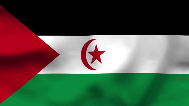 The flag of the Sahrawi Arab Democratic Republic features bold colors with a red triangle, a crescent and star, and green and white stripes. This symbol reflects the nation's quest for sovereignty