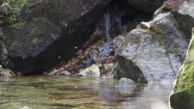 高山の清流。岩の隙間から流れる様子。川の流れ。水飛沫。朝日に照らされながら飛び交う虫。登山道の風景。岩肌。苔。川音。避暑。静寂。自然風景。