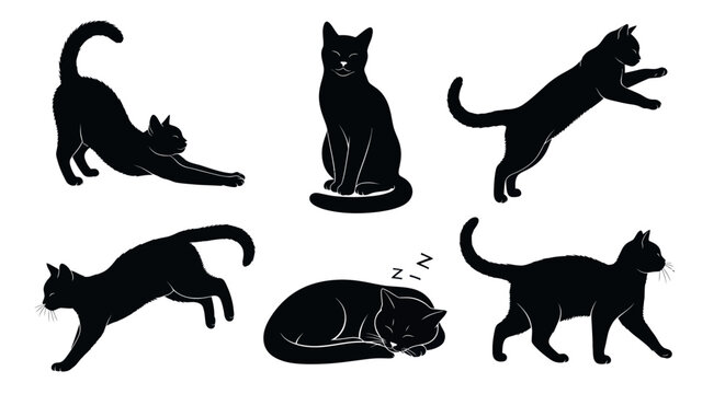 Black Cat Silhouettes: Dynamic Poses of Feline Grace and Activity