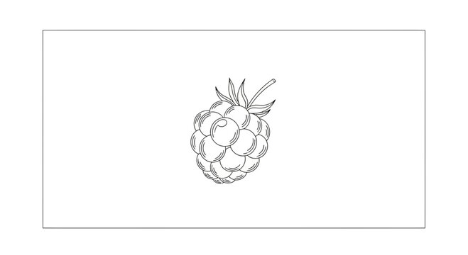 Hand-drawn sketch of a single ripe raspberry with leaves and stem on a white background.