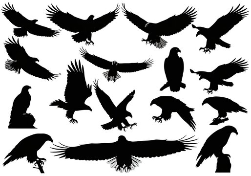 Black silhouette eagles flying and perched on white background
