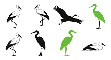 Fototapeta premium Silhouette Storks and Herons, Flying and Standing, Black and Green