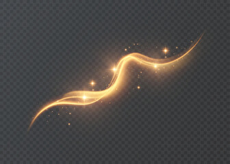 A golden magical comet with lots of sparkling dust and shimmering light effects. A magical golden wind for web design and stunning typography. Vector. © MAKSYM