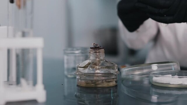 Laboratory technician handling chemical samples in food testing laboratory
