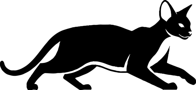 Sleek oriental shorthair cat walking silhouette