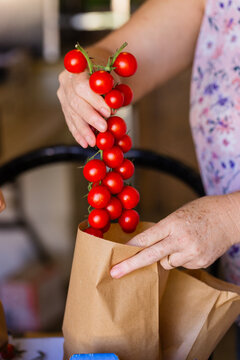 Woman packing red cherry truss tomatoes into brown bag at local food distribution hub