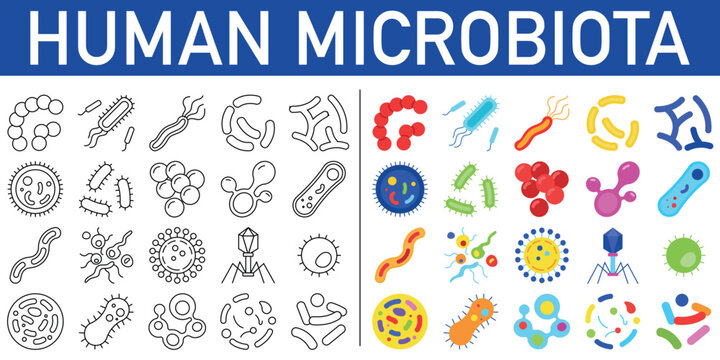 Human microbiota icons set. Biological viruses and infectious bacteria. Bacteria icons set.