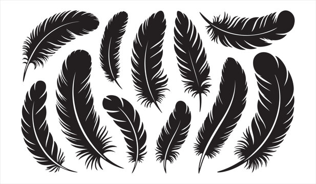 Black feather silhouette set isolated on white background for decorative and nature themed designs