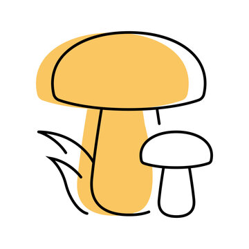 Mushroom fungus icon. Food and wild mushroom line symbol. Color.